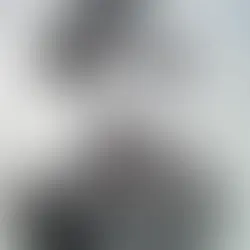 MASTERS OF THE LONG SHOT: Birge’s Western Sharpshooters