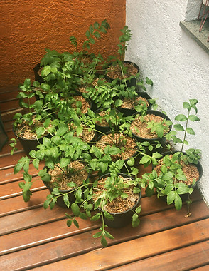 20102020_01.JPG