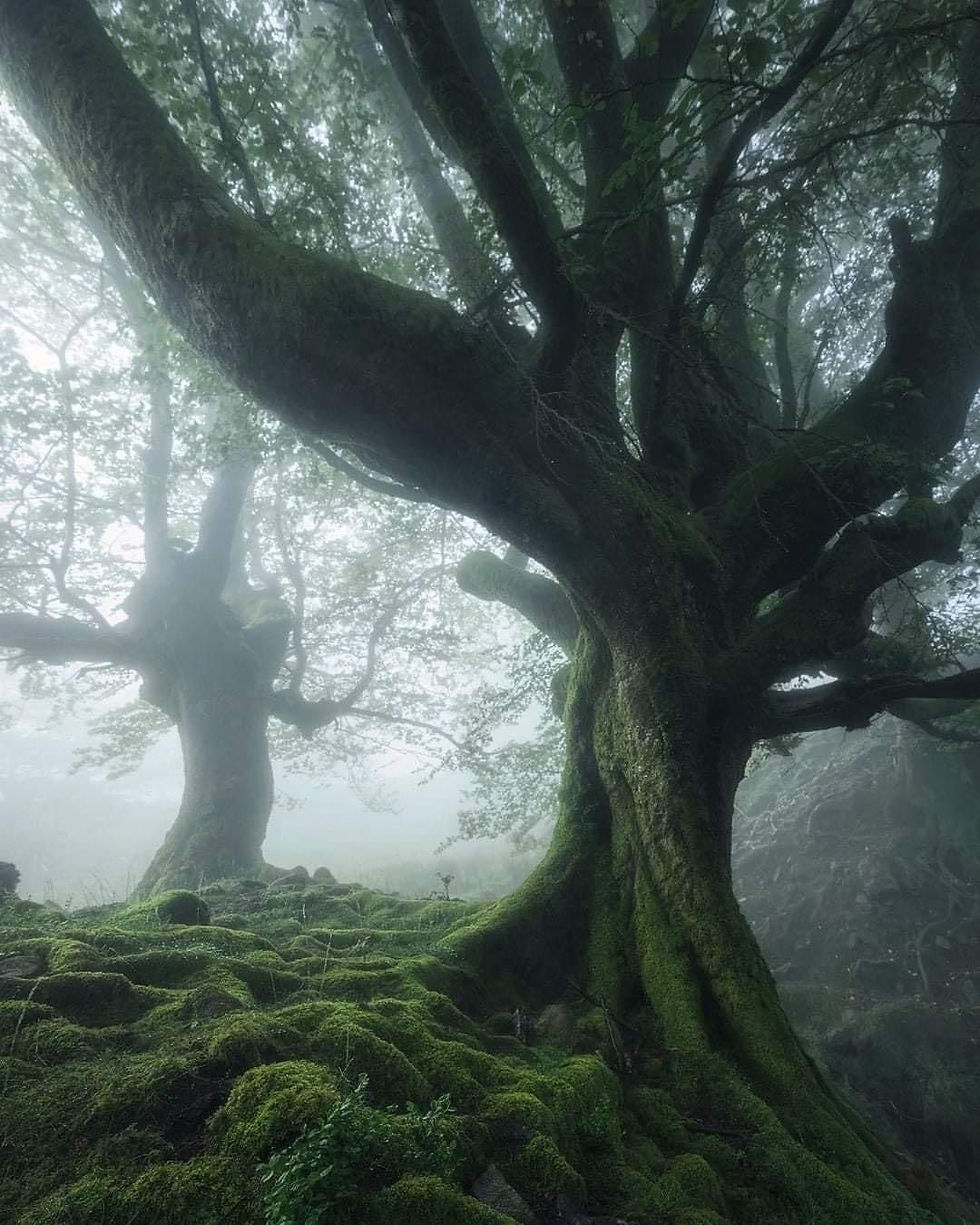 WhatsApp Image 2024-08-24 at 8.36.31 PM