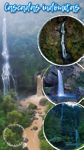 Mágico DILAO (2).png