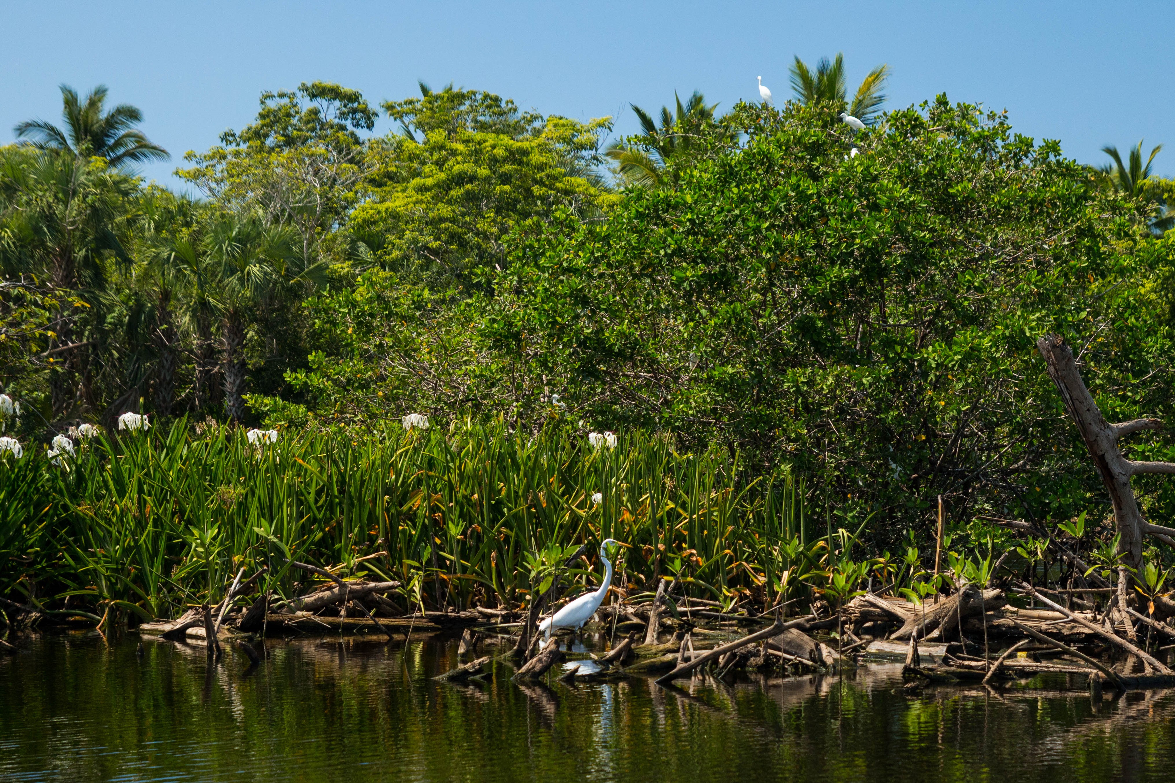 Laguna de Ventanilla en Oaxaca.