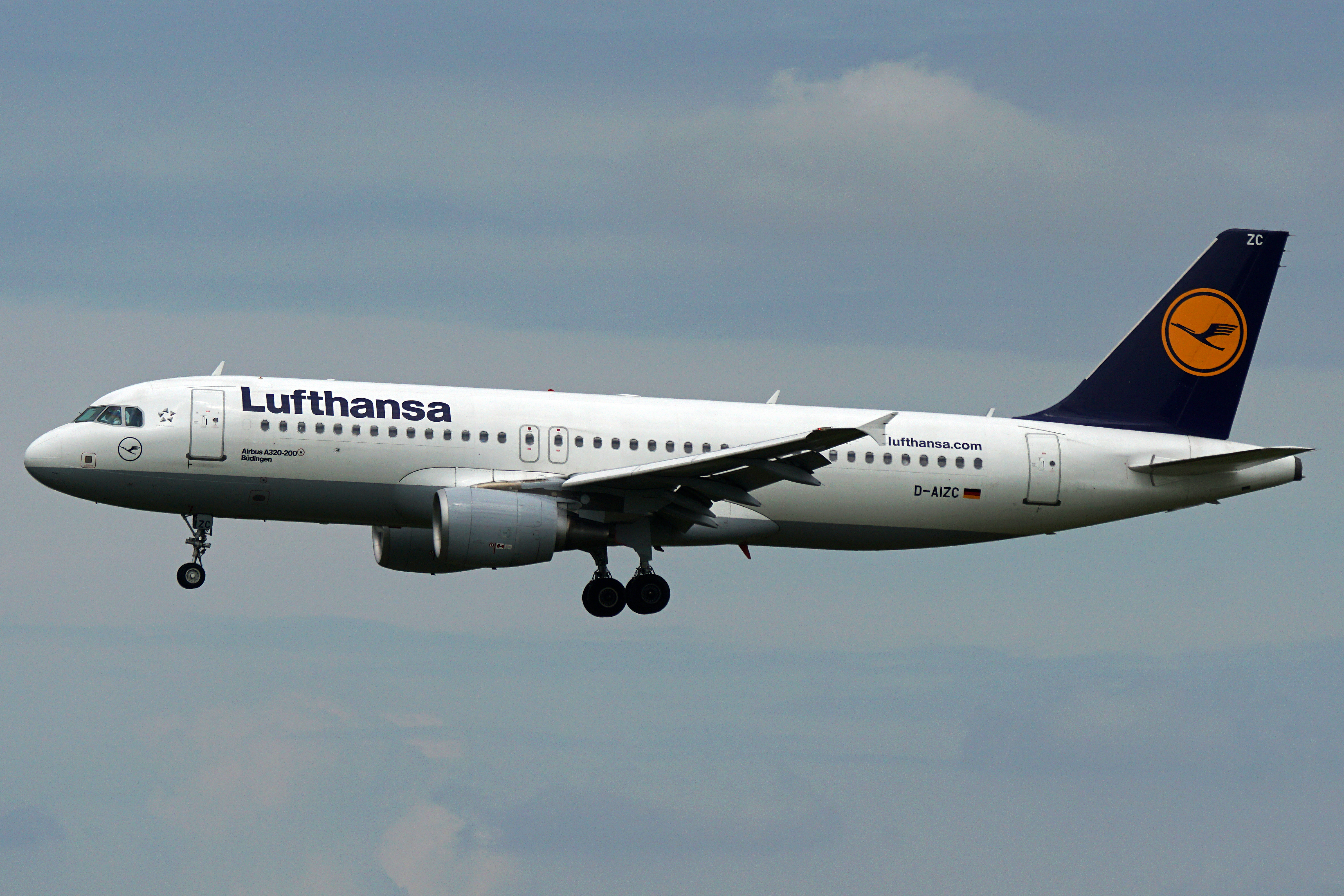 D-AIZC