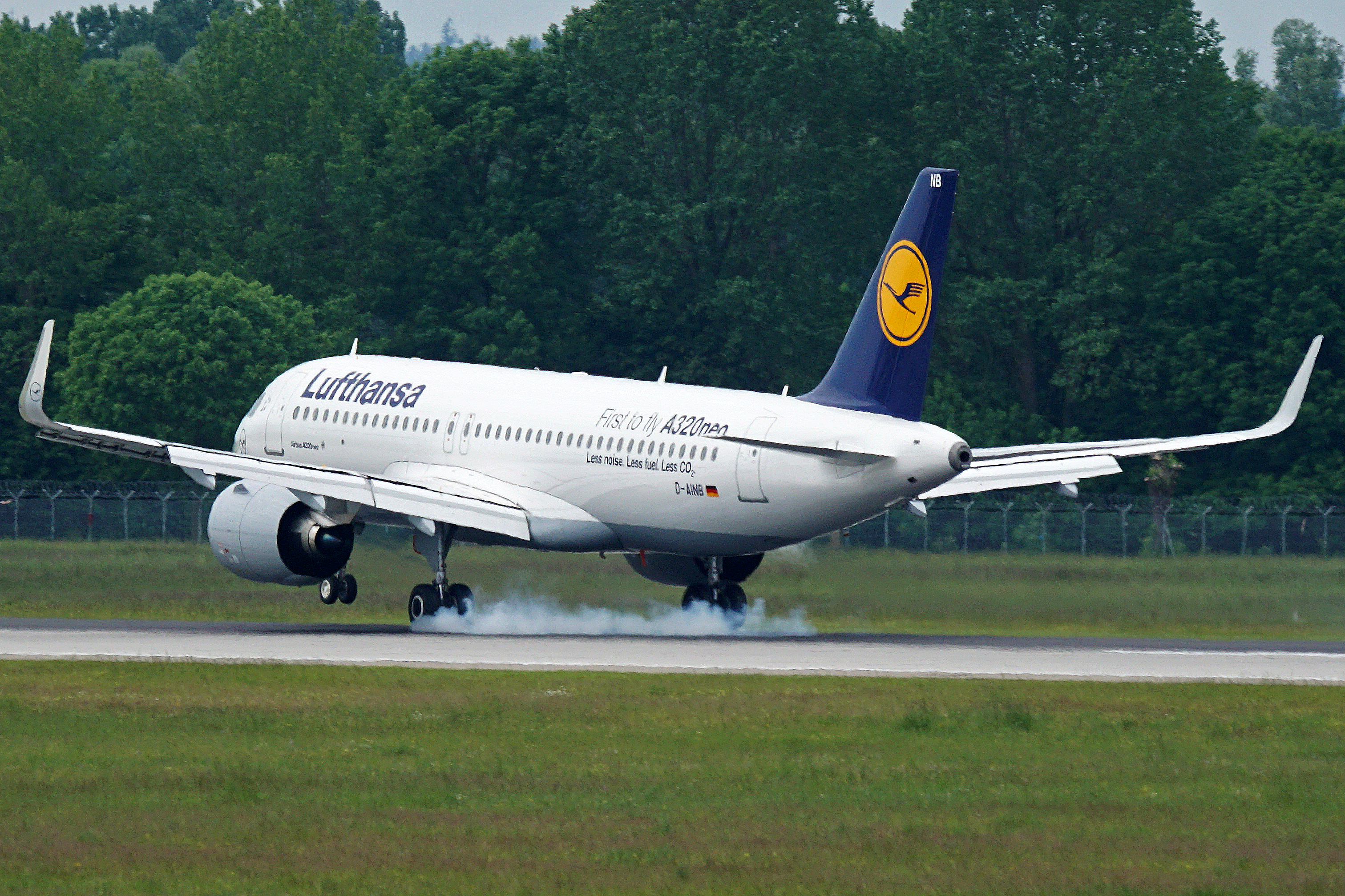 D-AINB(2)