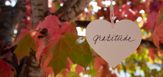 Having an Attitude of gratitude