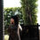 縮圖：「SOMEDAY」＃SUNDAY CLUB 踢恤