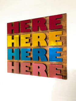 Shiny Selfies - ANT HAMLYN