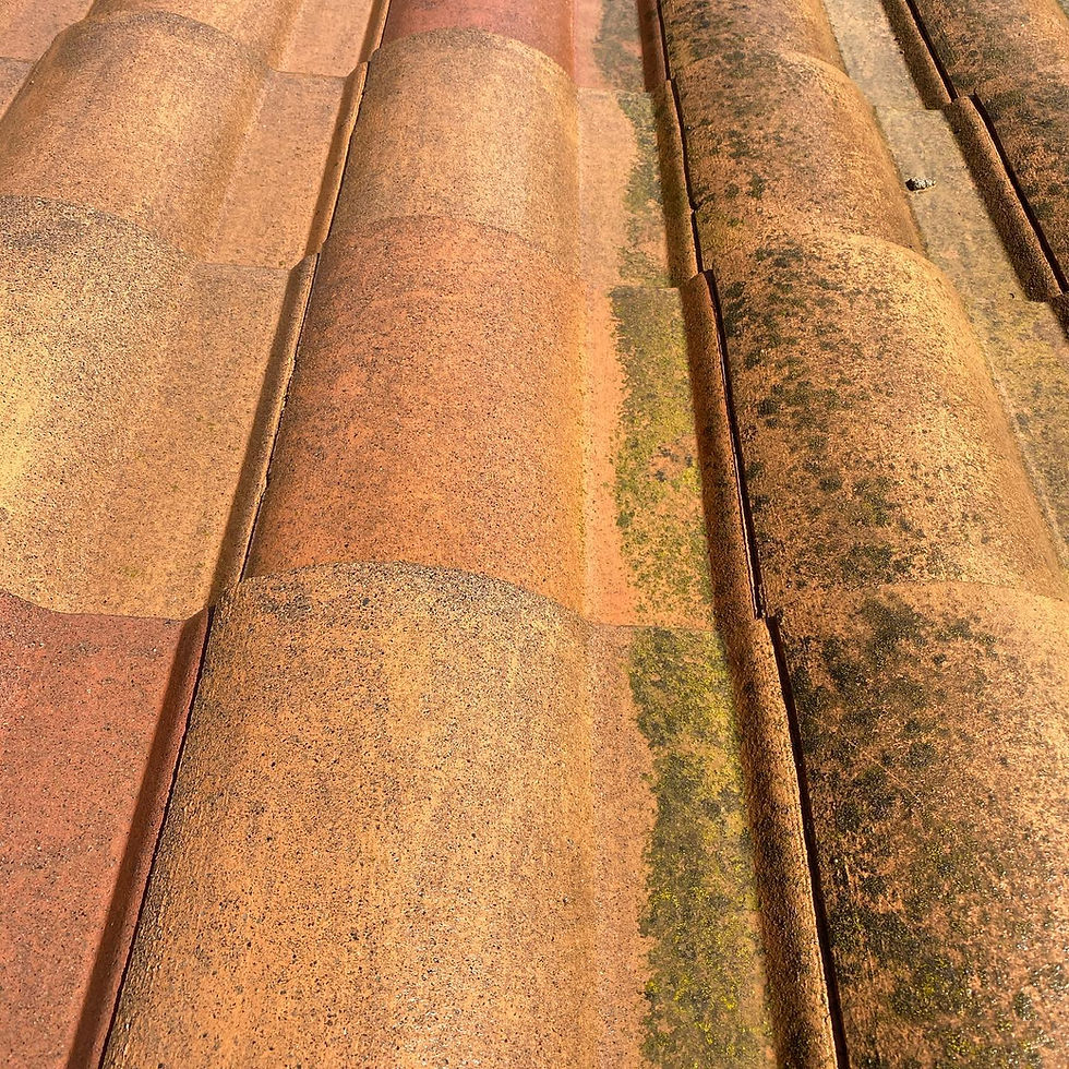 Huntington Beach Roof