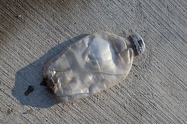 crshed water bottle on sidewalk