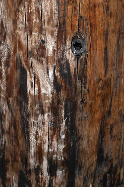 old wood and screw