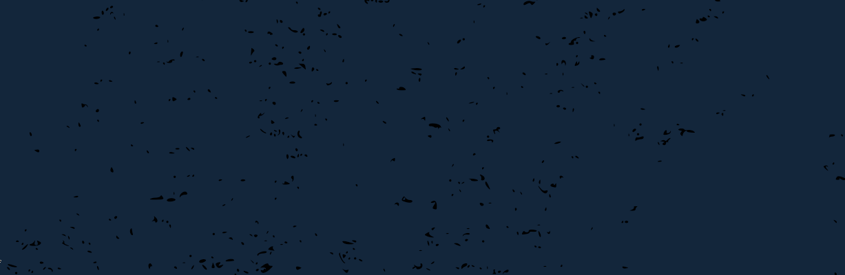 1da6fd_0dd0113f7eed4960b74080ec479265e0~mv2.webp