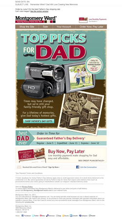 Montgomery Ward Email Campaign