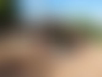【貧窮的大洲、簡單的國度】非洲:簡單與喜樂的老師