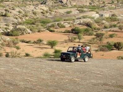 Jeep Safari, Jawai Pugmark Safari Lodge