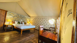 Jawai Pugmark safari lodge 4.jpeg