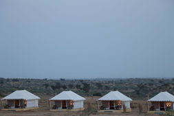 Tents.jpeg