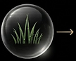 20.png