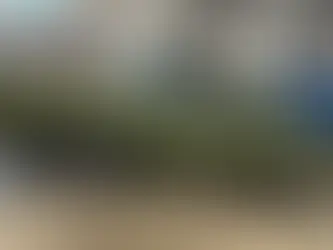 1969 Plymouth Roadrunner after multi-stage paint correction and ceramic coating at Scott’s Custom Auto Spa in Brighton Ontario