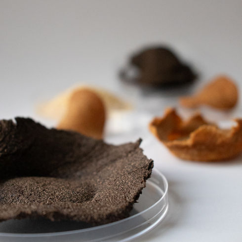 From Waste to Matter: Biomaterial Experiments