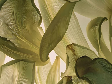 Şu An ve Burada Olmak: Bedenle Bağ Kurmak