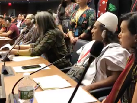 Freda Huson Of The Unist’ot’en  Addressing The UNPFII | April 24, 2019