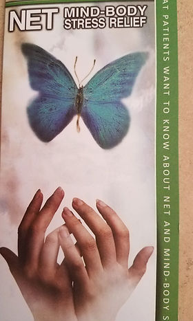 net mind body phamplet.jpg
