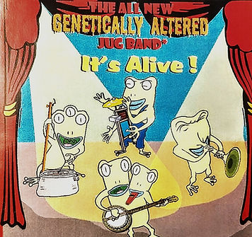 ANGAJB cover cartoon.jpg