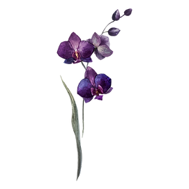 Purple Flowers_edited.png