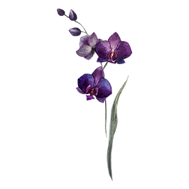 Purple Flowers_edited_edited.png