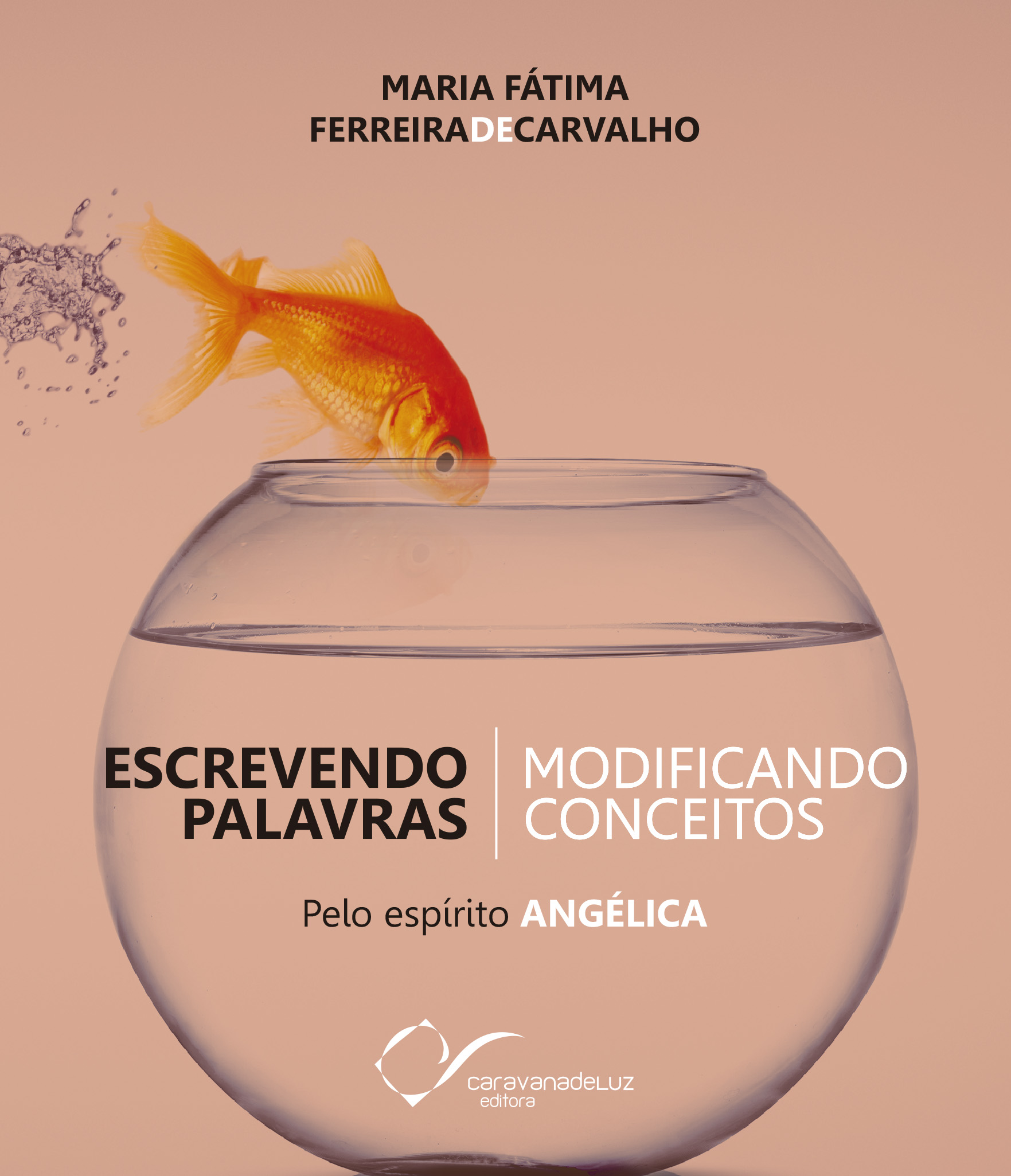 "Vida é lição e não queda".