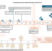 30-Month Window to Maximize Your Value