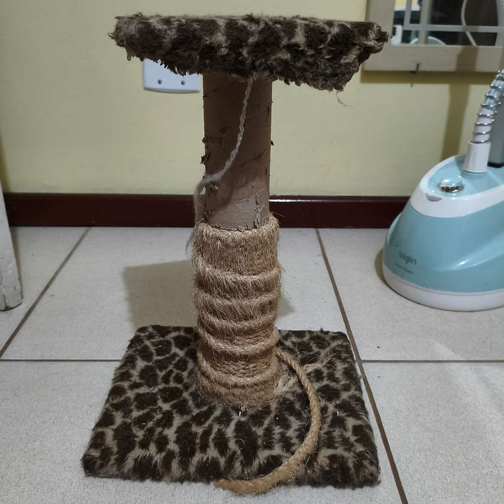 Arranhador Poste Duplo