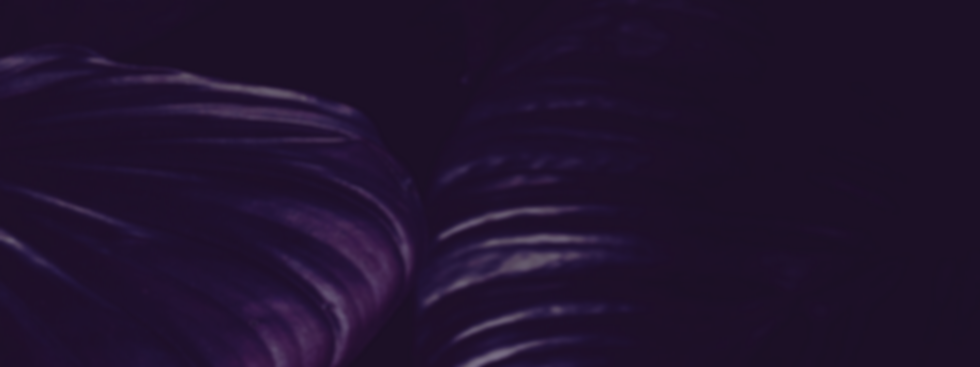 banner_21000.png