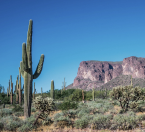 Apache Junction Arizona - Construction Services Architectural Interiors and Exteriors
