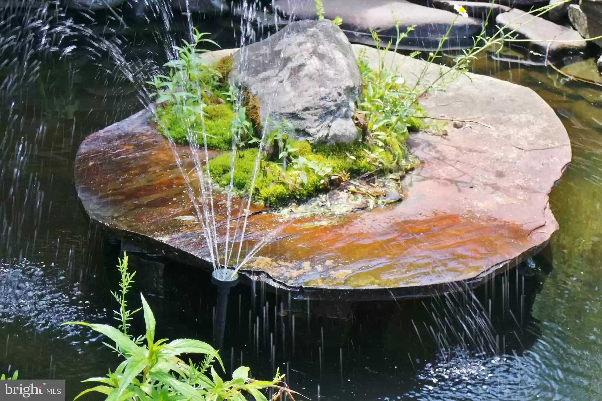 b0eeae7734b71ef99f37baf1c9631698l-m743196518od-w1024_h768_x2 (1).webp