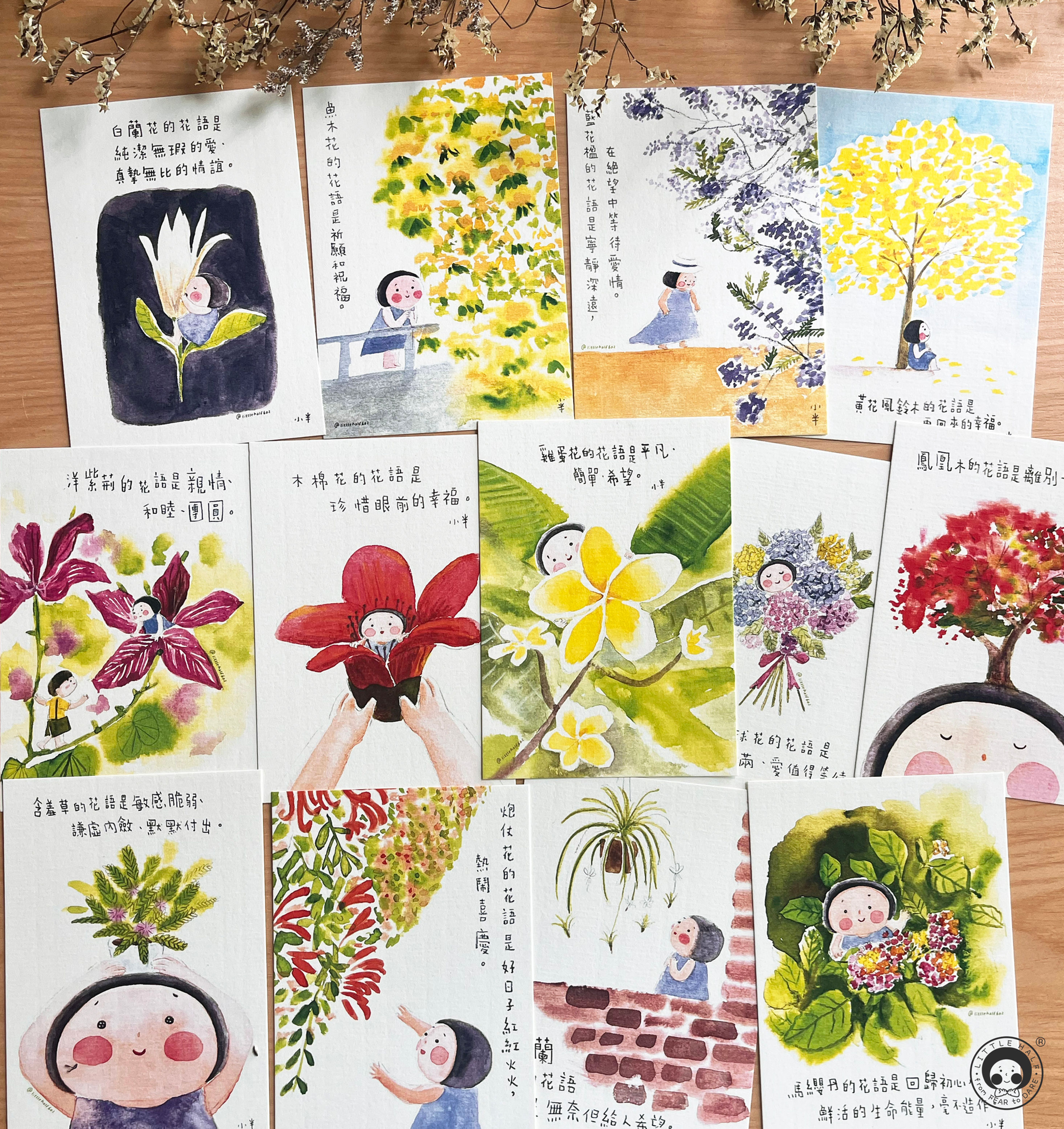 小半花語系列Postcard(一套十三張)