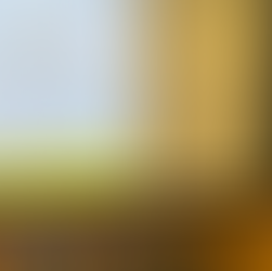 SU hosts voter panel night before Election Day