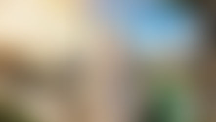 Caminhos renovados pela Luz