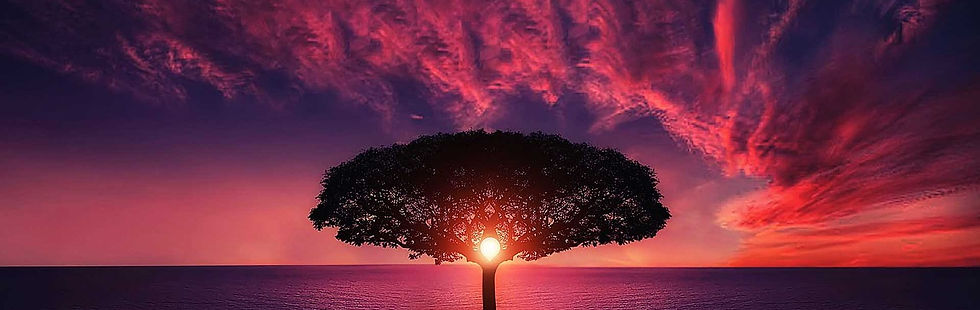 tree-736885_1280.jpg