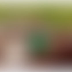 Giornata Mondiale della Terra