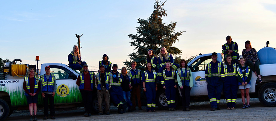 Dandy Lawns team photo