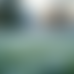 Mastering Winter Lawn Maintenance in Foothills, Alberta.