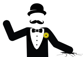 DandyLawns-Squish-Bug.png