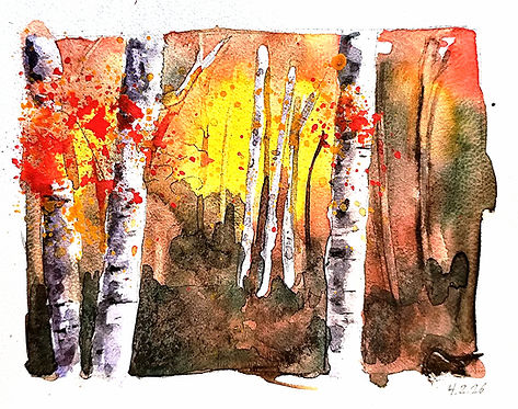 Birkenwald mit Sonnenuntergang in Aquarell