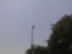 Storch%20flutlicht_edited.jpg