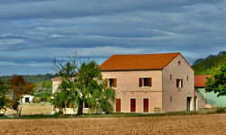 grange 2