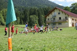 17=IMG_9292 a remplacer par foto, n-¦10 du dvd aods et chevaux