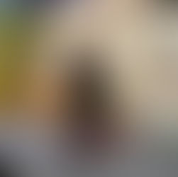 Drama Update: Act II Takes the Stage