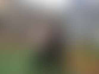 JRHS Board Member visits Student Parents and KWICS in South Korea