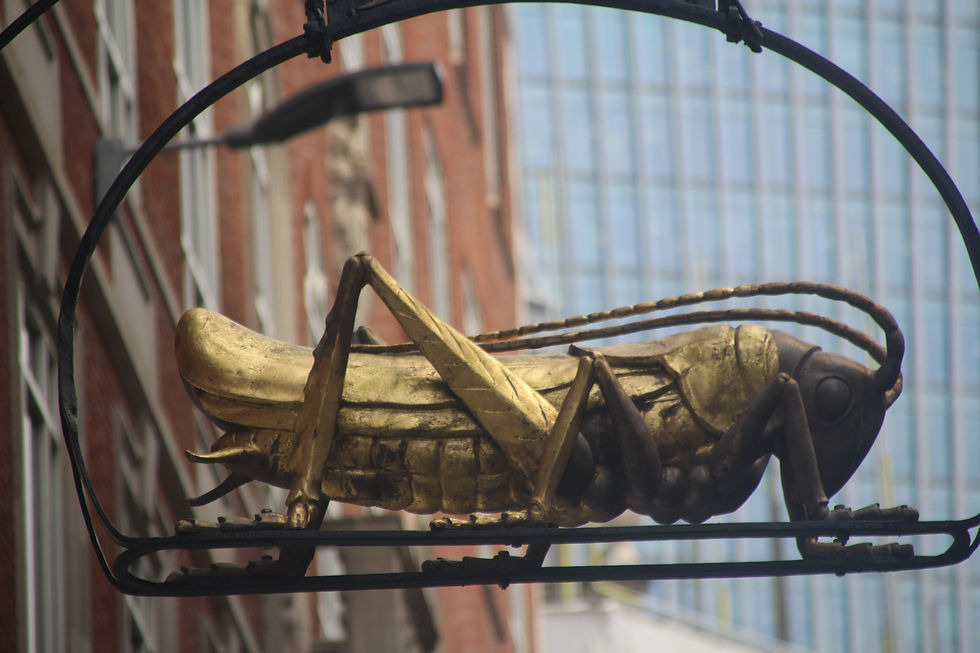 City Bug