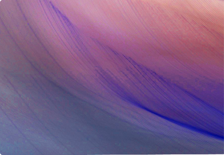 Thumbnail.png